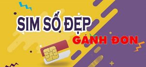 sim gánh đơn là gì