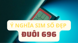 Ý nghĩa sim đuôi 696
