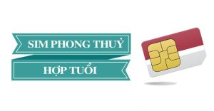 chọn sim hợp tuổi