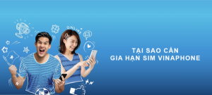 gia hạn sim vinaphone