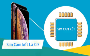 sim cam kết là gì