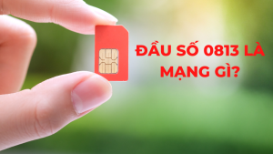 sim đầu số 0813