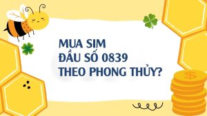 sim dau so 0839