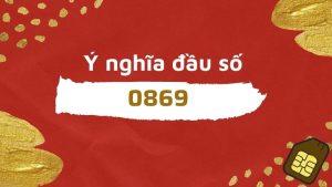 sim đầu số 0869