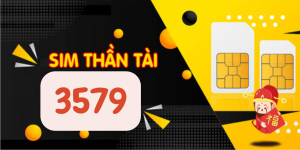 sim đuôi Thần tài 3579