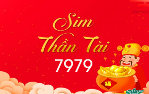 sim đuôi thần tài 7979