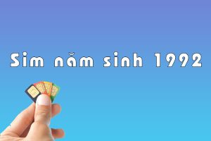 sim hợp tuổi năm 1992