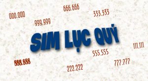 Sim lục quý là gì