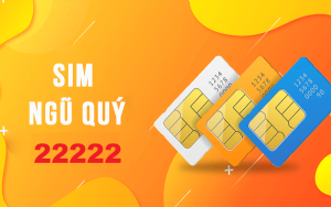 sim ngũ quý 22222