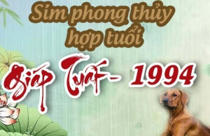 sim phong thuỷ cho người tuổi Giáp Tuất