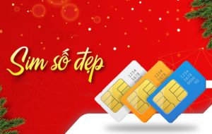 sim số đẹp giá rẻ cho người thu nhập thấp