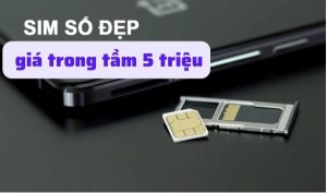 sim số đẹp tầm giá 5 triệu