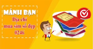 sim số đẹp đuôi 0246