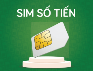 sim số tiến ý nghĩa nhất