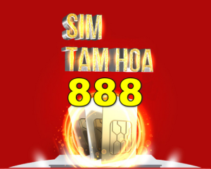 sim tam hoa 888