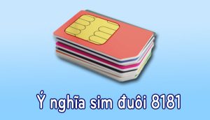 ý nghĩa sim số đuôi 8181