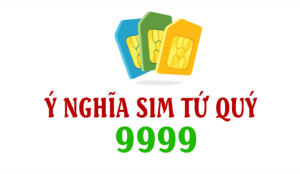 ý nghĩa sim tứ quý 9999