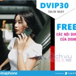 gói cước DVIP30 Vinaphone