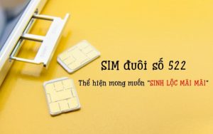 sim số đuôi 522