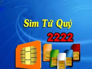Sim Tứ quý 2222
