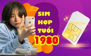 Sim hợp tuổi 1980 và những thông tin người dùng cần biết