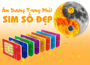 Âm dương tương phối trong sim số đẹp là gì ?