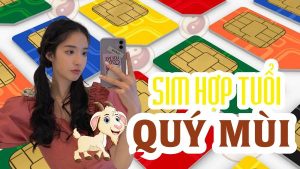 Cách chọn sim số đẹp hợp tuổi Quý Mùi 2003