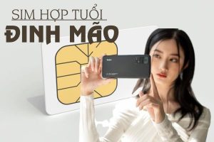 Sim hợp tuổi 1987 Đinh Mão hiệu quả kích tài lộc