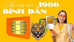 Sim hợp tuổi Bính Dần 1986 và những thông tin cần biết