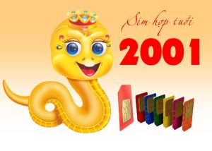 Sim hợp tuổi năm 2001 Tân Tỵ tư vấn hữu ích để chọn sim chuẩn