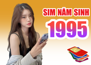 Sim năm sinh 1995 và tất tần tật những thông tin hữu ích người dùng chớ bỏ qua