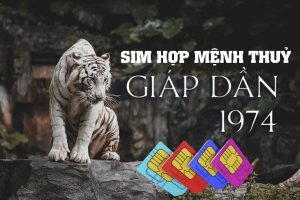 Chọn sim hợp mệnh Thuỷ 1974 như thế nào