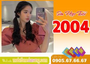Sim hợp tuổi 2004 và những thông tin người dùng cần biết