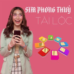 Sim phong thuỷ tài lộc và những điều bạn nên biết